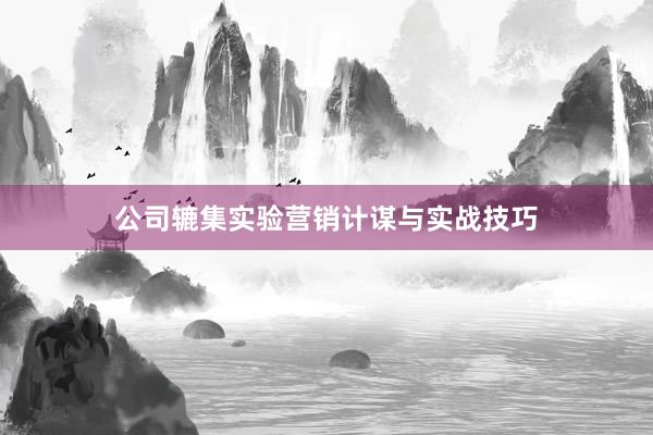 公司辘集实验营销计谋与实战技巧